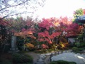 金福寺の写真