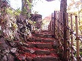 高山寺の写真