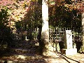 高山寺の写真