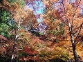 高山寺の写真