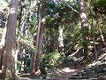 高山寺の写真