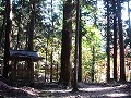 高山寺の写真