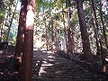 高山寺の写真