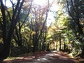 高山寺の写真