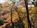 高山寺の写真
