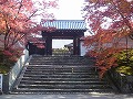 曼殊院の写真