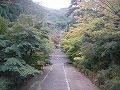 二尊院の写真