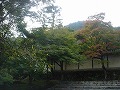 二尊院の写真