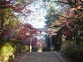 大原野神社の写真