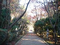大原野神社の写真