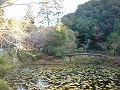 大原野神社の写真