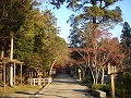 大原野神社の写真