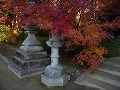 大原野神社の写真