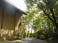 落柿舎の写真
