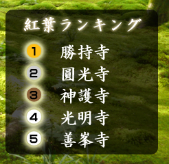 京都紅葉ランキング