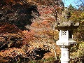 西明寺の写真