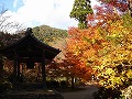 西明寺の写真
