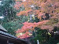 詩仙堂の写真