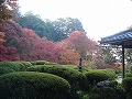 詩仙堂の写真