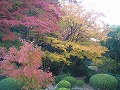 詩仙堂の写真