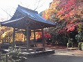勝持寺（花の寺）の写真