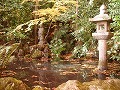 勝持寺（花の寺）の写真