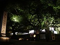 青蓮院門跡の写真