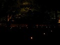 青蓮院門跡の写真