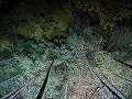 青蓮院門跡の写真