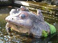 天龍寺の写真