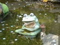 天龍寺の写真