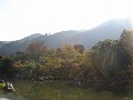天龍寺の写真
