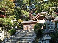 鷲森神社の写真