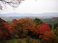 善峯寺の写真