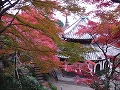 善峯寺の写真