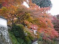 善峯寺の写真
