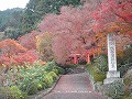 善峯寺の写真