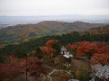 善峯寺の写真