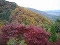 善峯寺の写真