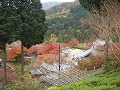 善峯寺の写真