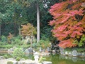 善峯寺の写真