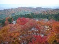 善峯寺の写真