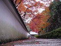 善峯寺の写真