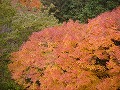 善峯寺の写真