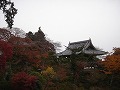 善峯寺の写真