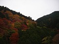 善峯寺の写真