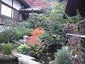 善峯寺の写真