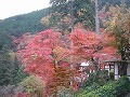 善峯寺の写真