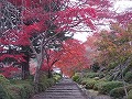 善峯寺の写真