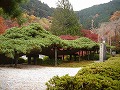 善峯寺の写真